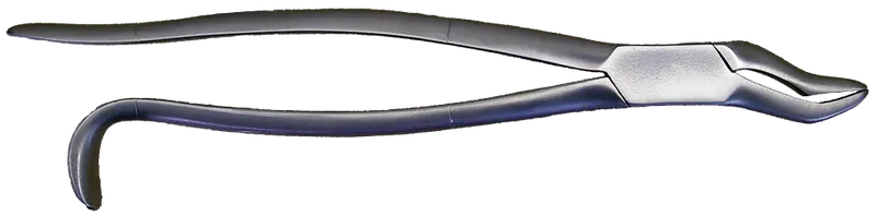 10-Inch Incisor Extraction Forceps For Small Animal Use 1