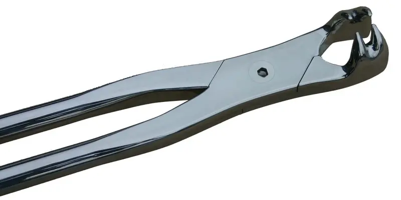 19-Inch Medium-Frame Four-Tine Dental Forceps 1