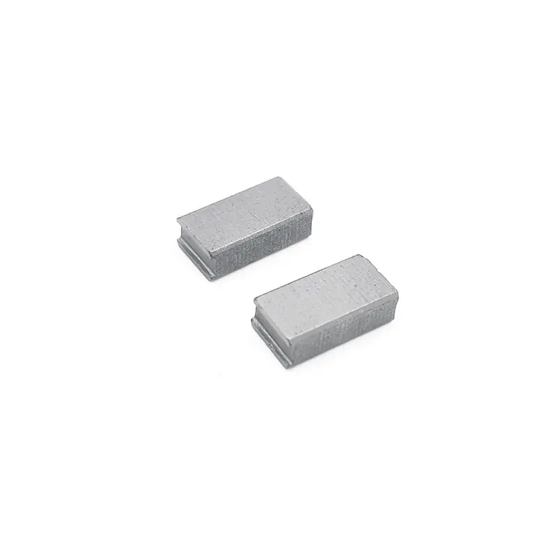 Bolton Pro Carbon Fiber Brush Set – 2-Pack 1
