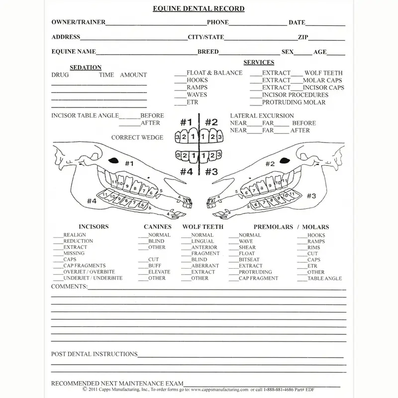 Printable Equine Dental Record Templates 1